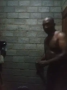 WiseDi Webcam Show
