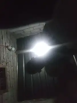 WiseDi Show in webcam