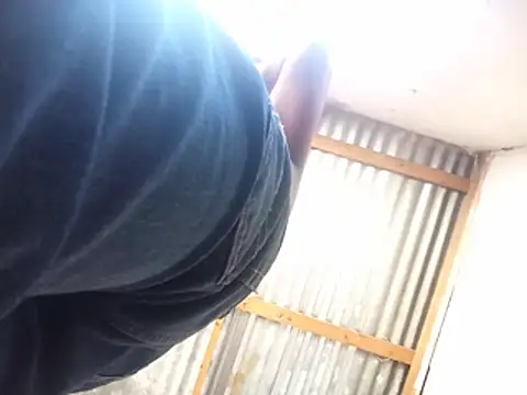 WiseDi Webcam Show