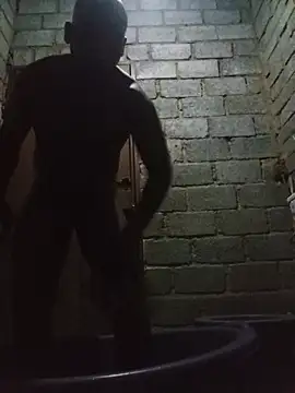WiseDi Webcam show