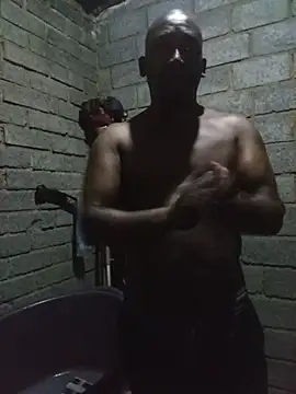 WiseDi Webcam-Show