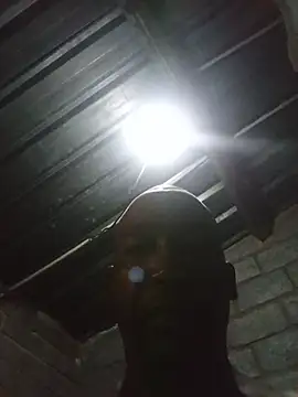 Pertunjukan Kamera Web WiseDi