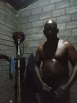 WiseDi Show in webcam