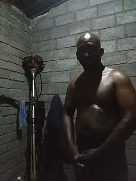 Show Webcam de WiseDi
