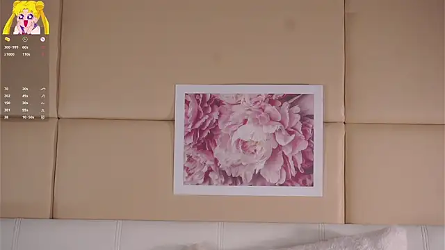 EdlinHargusのウェブカメラショー