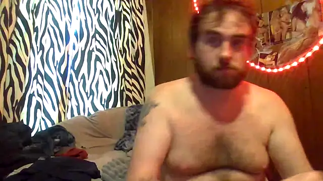 jaybirrdd25n Webbikameraesitys