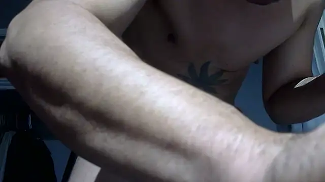 Show Webcam de spunncumer