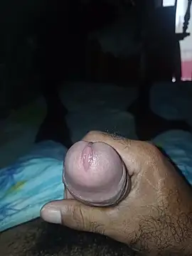 taylorWiiz Webcam Show
