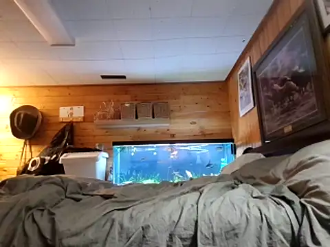 Ryan_and_Aurora: διαδικτυακό σόου στην κάμερα