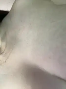Hoot-Anime- Webcamshow