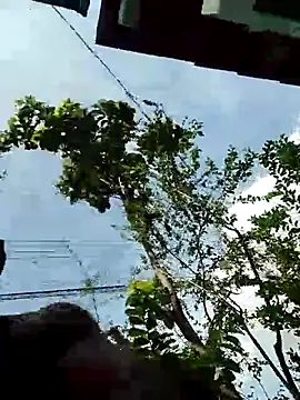 tonyessy09 Pertunjukan Webcam