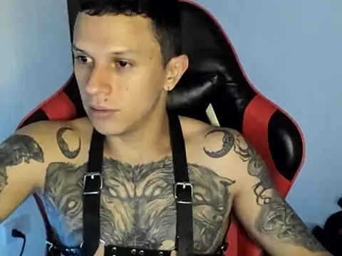 Masterdave7n Webbikameraesitys