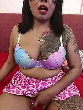 Show webcam de Anuraagi