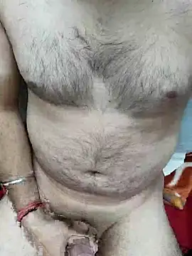 singleboy012001n Webbikameraesitys
