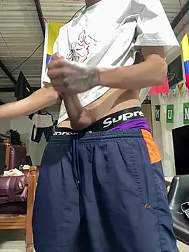 27powercmのウェブカメラショー