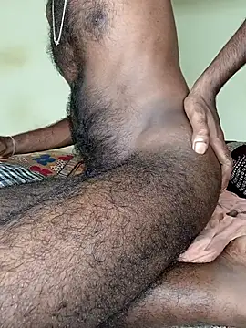 Chocolate_stud10 Show in webcam