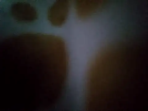 lky85: вебкам-шоу