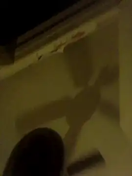 HBYAM 网络视讯表演