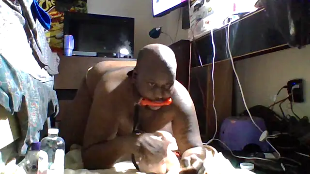 HBYAM – webcam-show