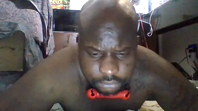 HBYAM Pertunjukan Webcam