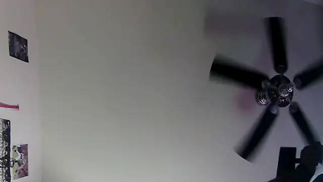 HBYAM webkamerás műsora