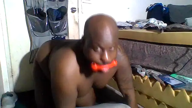 Show Webcam de HBYAM