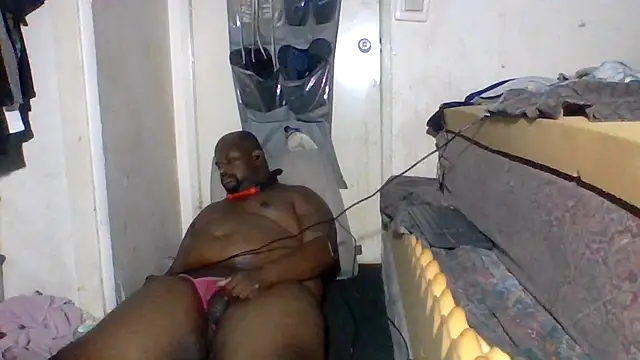Show Webcam de HBYAM