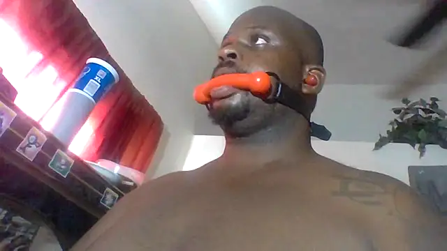 Show de webcam de HBYAM