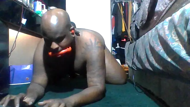 HBYAM Show Webcam