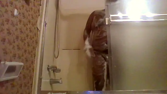HBYAM Show in webcam