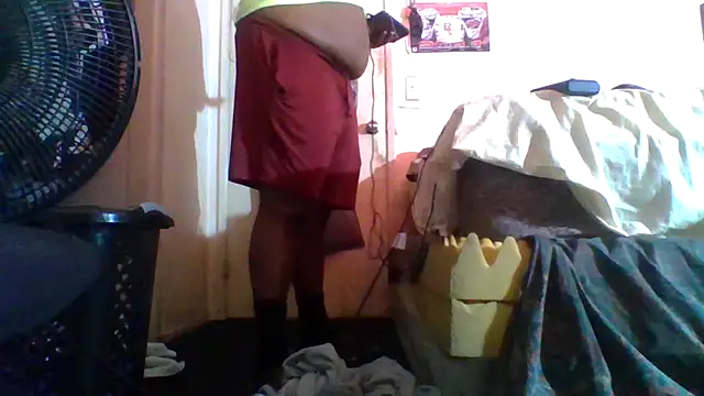 Show Webcam de HBYAM