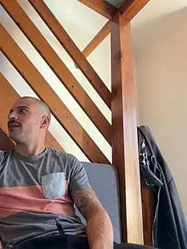 Show webcam de Greyoff