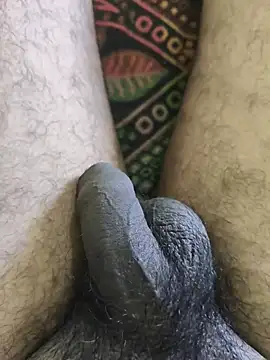 Show Webcam de Abhijain108
