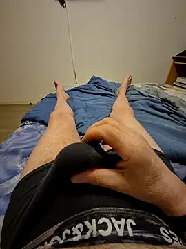 Show webcam de Bretoncool