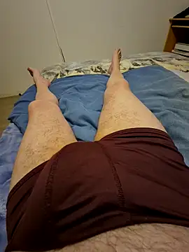 Bretoncooln Webbikameraesitys