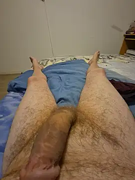 Bretoncool Show Webcam