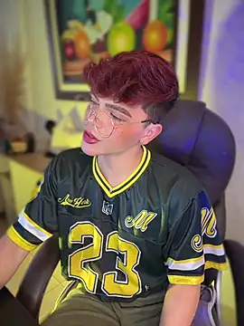 Webkamerová show PRINCE_STEV