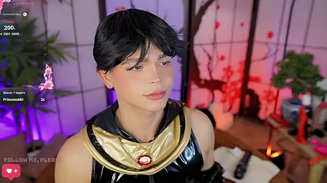 PRINCE_STEV: вебкам-шоу