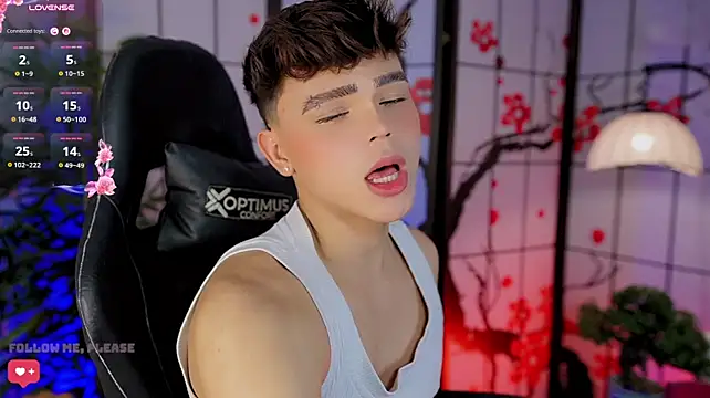 Show webcam de PRINCE_STEV