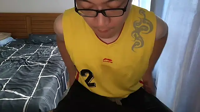 Show Webcam de wang930115