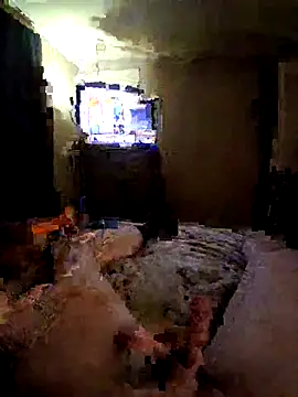 Nester8181's Webcam Show