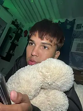 Show de webcam de sexyboyandrs