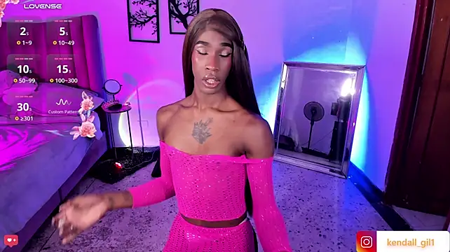 Kendall_Giln Webbikameraesitys