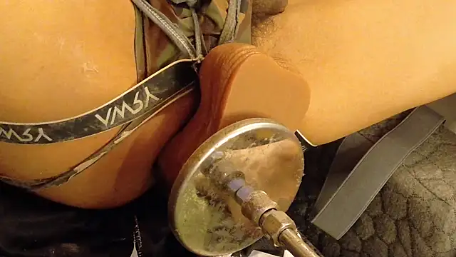 Yojimbo Show in webcam