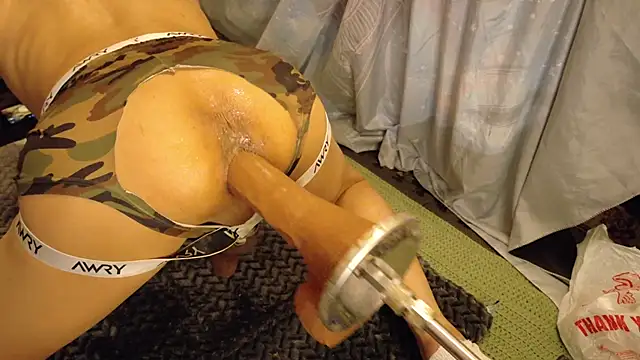 Show de Yojimbo na webcam