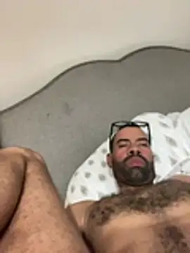 Show de webcam de d3x17717