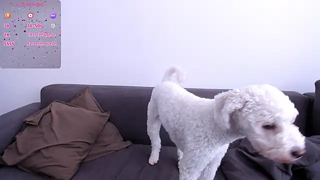Tenderly_Couple Webcamshow