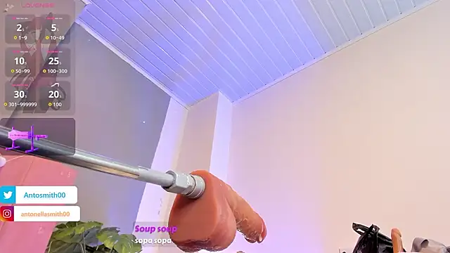 Antonellasmith00 웹캠 쇼