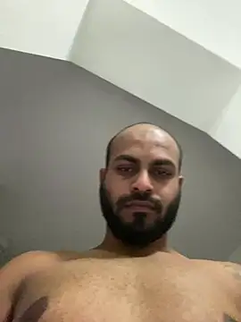 islandvybee55n Webbikameraesitys
