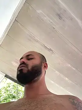 islandvybee55 Show Webcam
